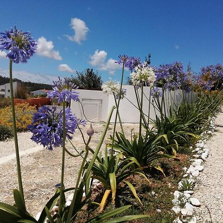 Bb Silvercoast Casa Das Flores Santa Catarina  Dış mekan fotoğraf