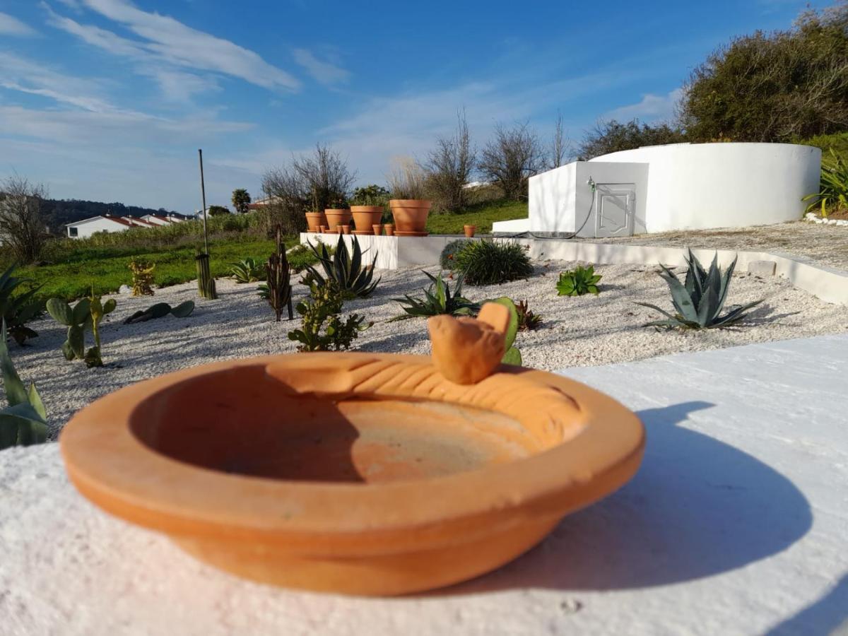 Bb Silvercoast Casa Das Flores Santa Catarina  Dış mekan fotoğraf
