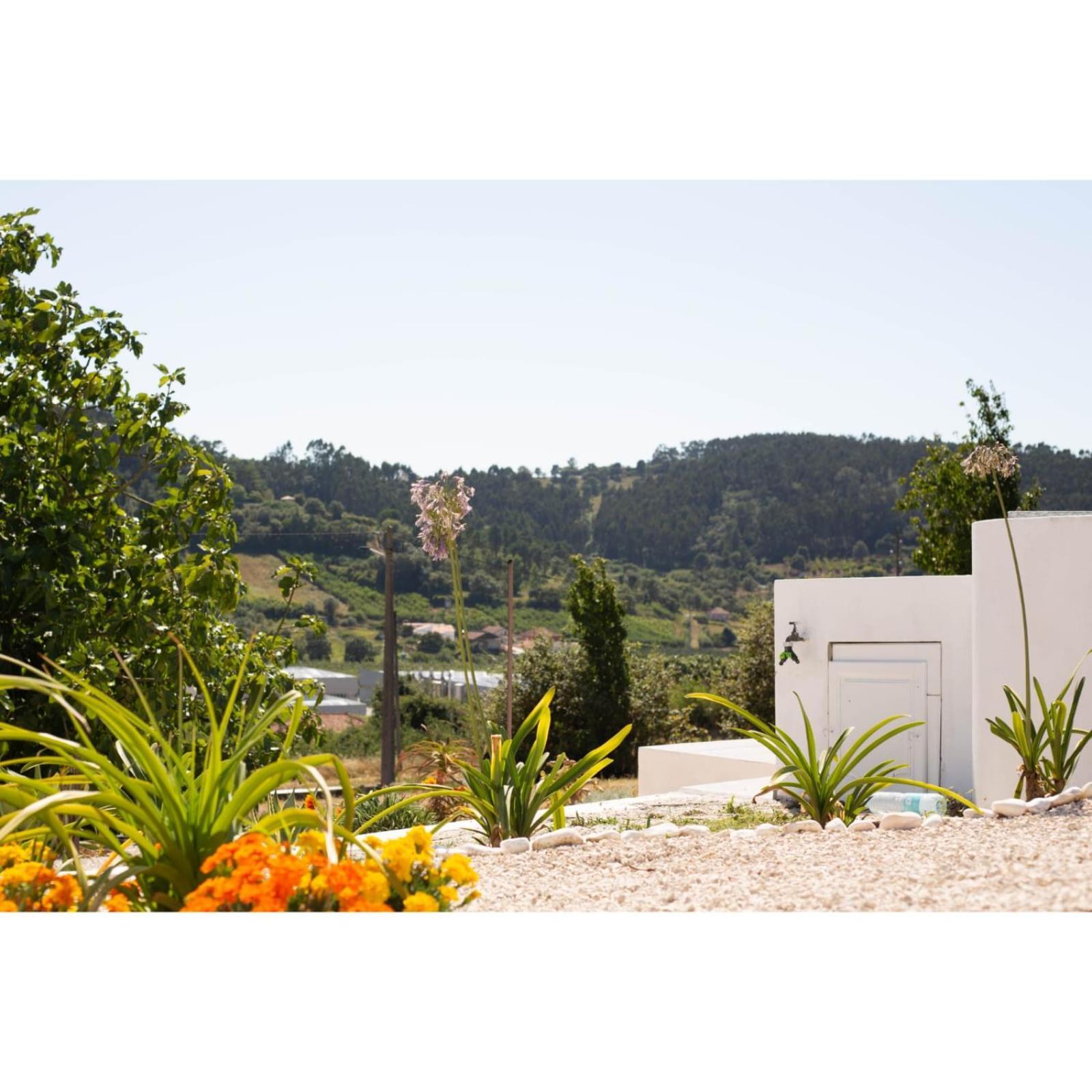 Bb Silvercoast Casa Das Flores Santa Catarina  Dış mekan fotoğraf
